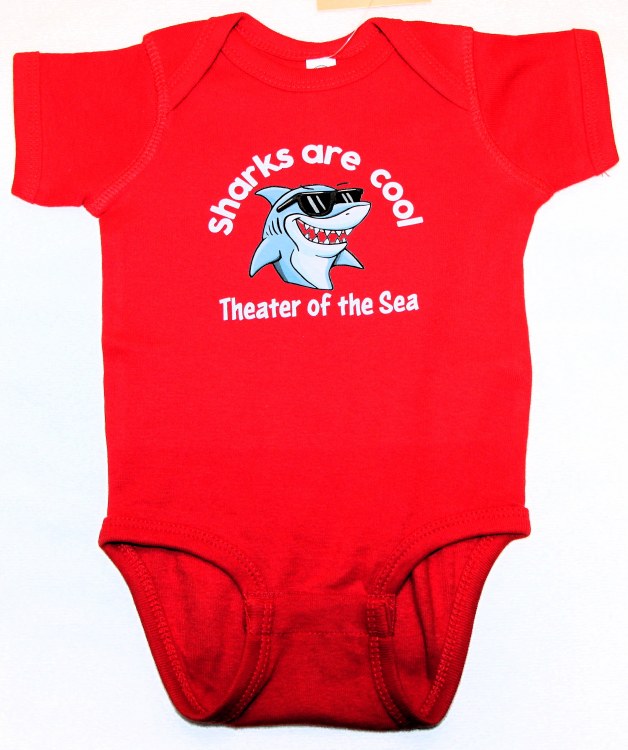 Baby Shark Kelly 12 Mon