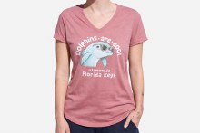 Cool V-neck Tee S Blush