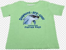Lime Turtle 3t Tee