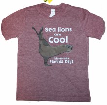 Cool Sea Lion Child  L Maroo