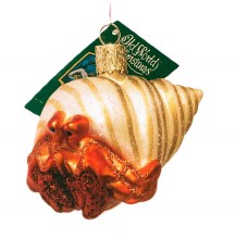 Glass Hermit Crab