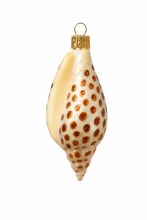 Glass Junonia Shell