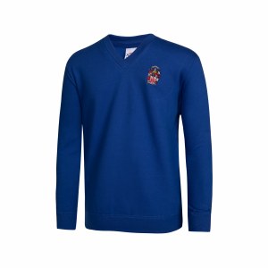 DUCKS VNECK SWEATSHIRT 3-4