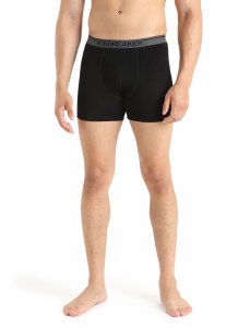 Merino 150 Anatomica Boxers wFly - Men's
