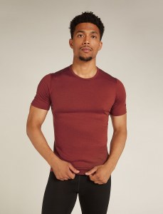 Merino 200 Oasis SS Crewe - Men's