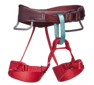 Black Diamond Momentum Harness - Kid's