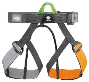 Gym Harness