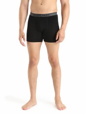 Merino 150 Anatomica Boxers wFly - Men's