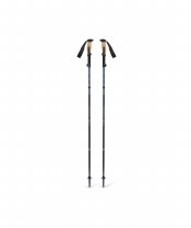 Black Diamond Trail Vista FLZ Poles
