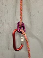 RPL Micro Rappel Plate