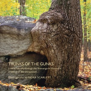 Trunks of the Gunks