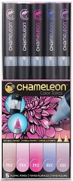 CHAMELEON PEN  5 SET GREY