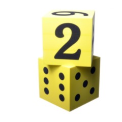 Large Foam Dice Set of 2