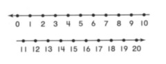 NUMBER LINES TABLE