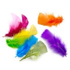 FEATHER ASST COLOURS 4CM