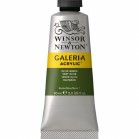 Galleria Acrylic 60ML Olive Gr