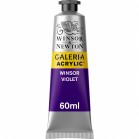 Galleria Acrylic 60ML Winsor V