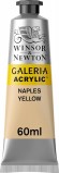 Galleria Acrylic 60ML Naples Y