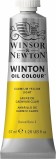 Winton Oil 37ml - Cadmium Lemon