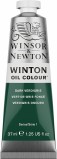 WINTON OIL 37ML DARK VERDIGRIS