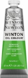 Winton Oil 37ml - Permanent Green Light