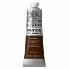 Winton Oil 37ml - Raw Umber