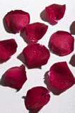ROSE PETALS RED X 50 PIECES
