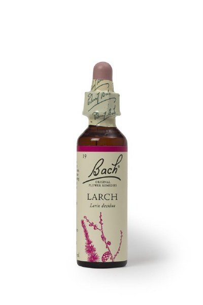 Bach Flower Remedies Larch 20ml