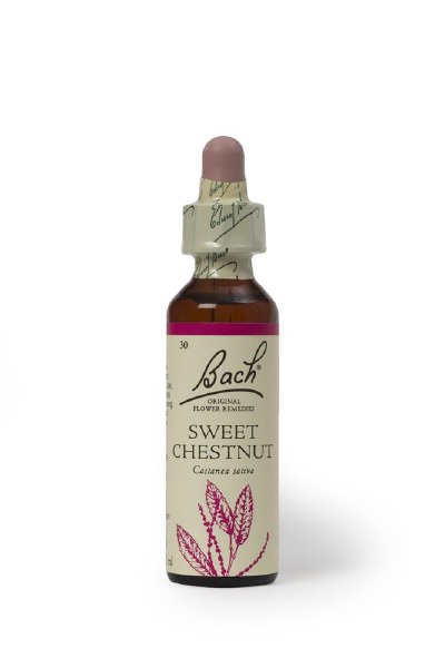 Bach Flower Remedies Sweet Chestnut 20ml