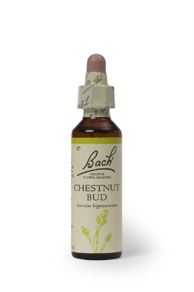 Bach Flower Remedies Chestnut Bud 20ml