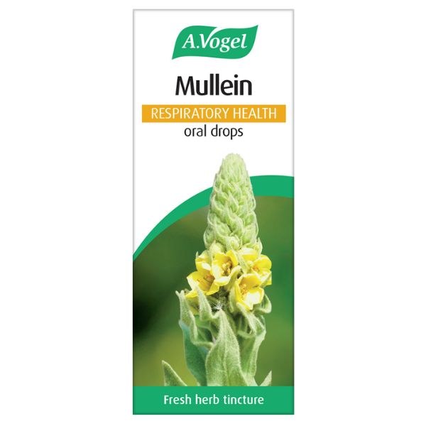Picture of A Vogel Mullein - 50ml