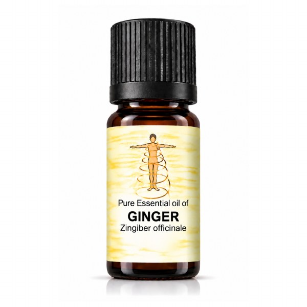 Picture of Balance Pure Ginger Essential Oil - 10ml