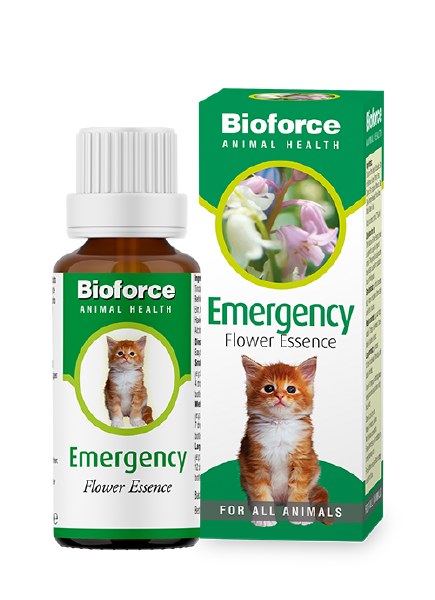 A Vogel Animal Emergency Essence - 30ml