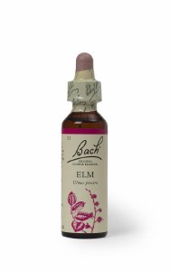 Bach Flower Remedies Elm 20ml