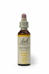 Bach Flower Remedies Gentian 20ml