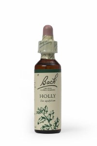 Bach Flower Remedies Holly 20ml