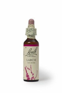 Bach Flower Remedies Larch 20ml