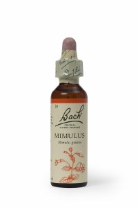 Bach Flower Remedies Mimulus 20ml