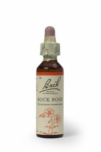 Bach Flower Remedies Rock Rose 20ml
