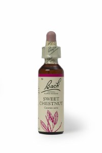 Bach Flower Remedies Sweet Chestnut 20ml