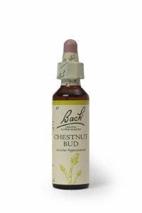 Bach Flower Remedies Chestnut Bud 20ml