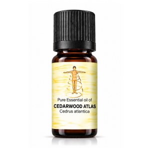 Balance Cedarwood Essential Oil - 10ml