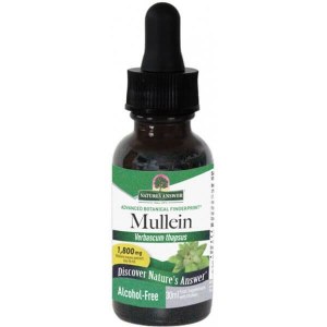 Nature's Answer Mullein Tincture - 30ml