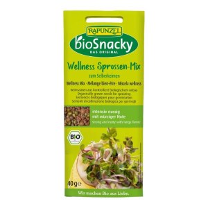 Biosnacky Wellness Mix - 40g