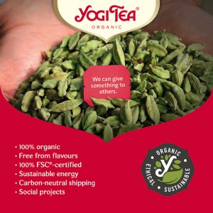Additional picture of Yogi Echinacea Tea - 17 Teabags