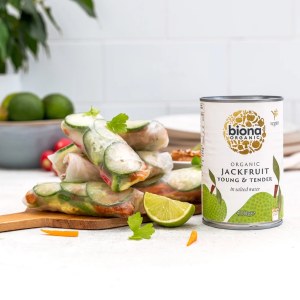 Additional picture of Biona Organic Jackfruit Young - 400g