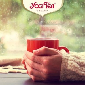 Additional picture of Yogi Echinacea Tea - 17 Teabags