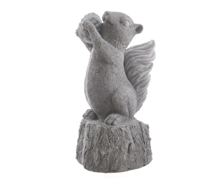 poly magn squirrel on trunk p