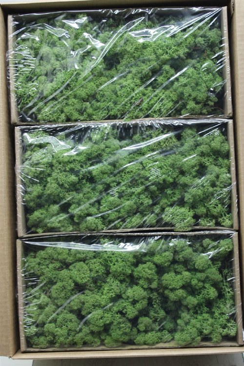 Dried Moss Midle Green