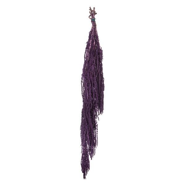 Dried Bunch Amarantus Caudatus Pres. Violet 80cm
